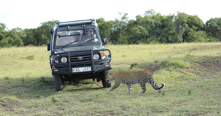 Safari u Keniji - Kenija safari iskustva