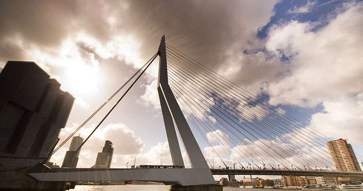 Erazmov most u Roterdamu - Labud