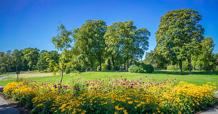 Stokholm zeleni grad Sveta - park u Švedskoj