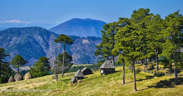 Stublo Zlatibor brvnare i kućice na padini