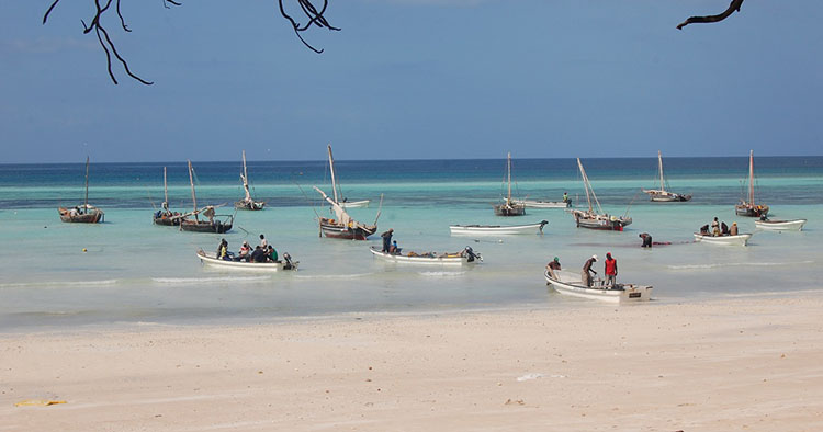 Izlet delfini na Zanzibaru