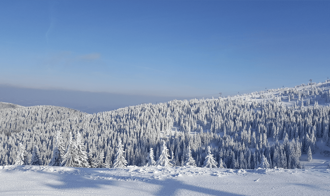 Priroda na Staroj planini