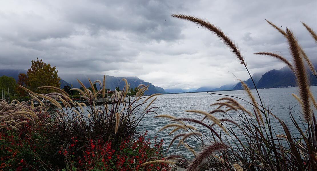 Viljuska u jezeru Vevej