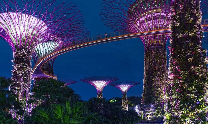 Viseži vrtovi u Singapuru