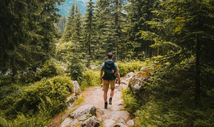 Čovek šeta u prirodi.