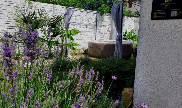 dvorište apartmana na Čukarici sa lavandom i cvećem